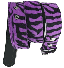 ZEBRA PURPLE