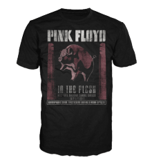 PINK FLOYD - IN THE FLESH